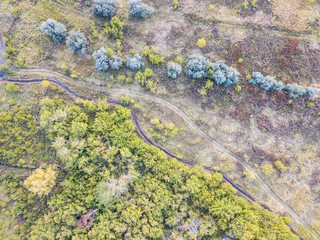 Forest and field with a trail aerial photography