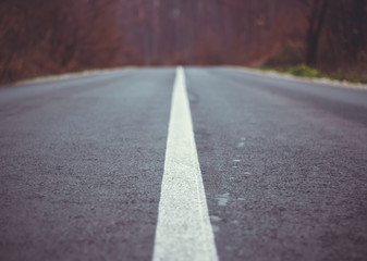 Country road texture. Journey path with trees