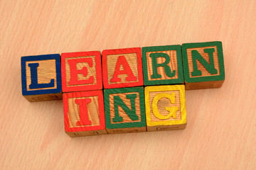 Learning Words on wood blocks - Professional Development