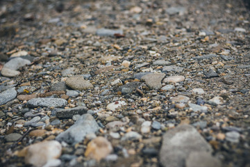 Detail of country road texture with rocks and dirt