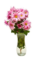 Still life. Beautiful bouquet pink fashionable chrysanthemum flower with bud in a vase isolated on white background. Wedding bouquet of the bride