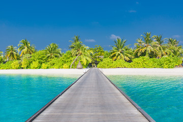 Maldives paradise beach. Perfect tropical island. Beautiful palm trees and tropical beach. Moody blue sky and blue lagoon. Luxury travel summer holiday background concept.