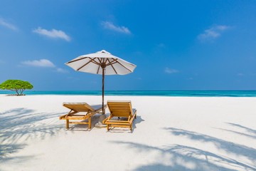 Maldives paradise beach. Perfect tropical island. Beautiful palm trees and tropical beach. Moody blue sky and blue lagoon. Luxury travel summer holiday background concept.