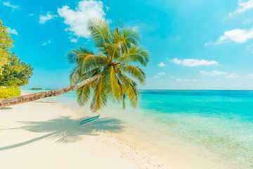 Fototapeta na wymiar Perfect beach view. Summer holiday and vacation design. Inspirational tropical beach, palm trees and white sand. Tranquil scenery, relaxing beach, tropical landscape design. Moody landscape