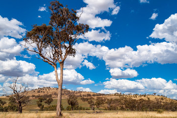 Fototapeta na wymiar Picturesque landscape of Australian outback