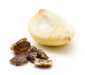 One peel salak clove with skin isolated on white background.