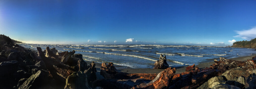 Panoramic View of Pacfic Northwest Coastline © Susan