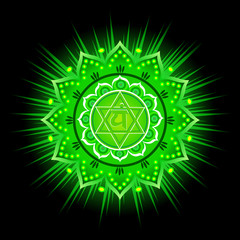 Circle mandala pattern. Anahata chakra vector illustration.
