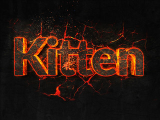 Kitten Fire text flame burning hot lava explosion background.