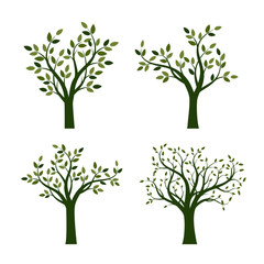 Setof Green Trees with Leaves. Vector Illustration.