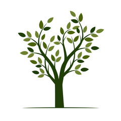 Shape of Green Tree with Leaves. Vector Illustration.