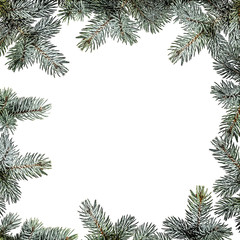 Green fir branch frame on white background with clipping pass