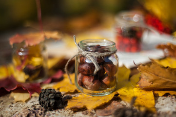 A small glass petticoat with acorns inside is on the autumn leaves
