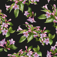 Floral seamless pattern with watercolor pink weigela. Background with bouquets of flowers - 182901746