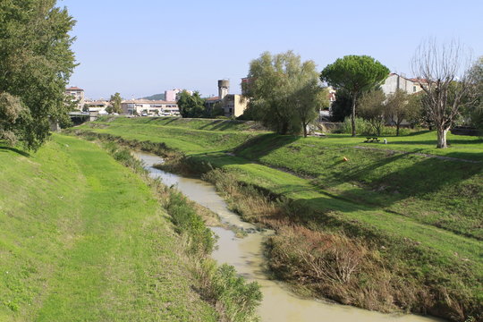 Pontedera