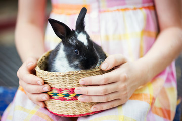 Girl holds a bunny in a basket