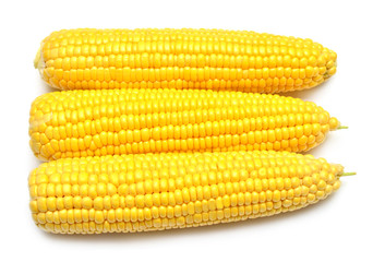 A corn isolated on white background. Flat lay, top view