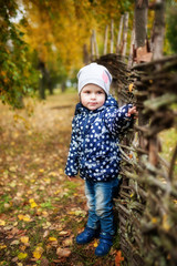 baby clings to a wooden fence woven among the autumn forest