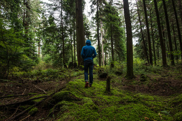 Naklejka premium Guy walking on Stanley Park Vancouver Canada