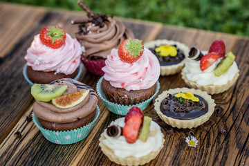 colourful selection on sweet pretty cupcakes