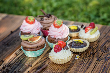 colourful selection on sweet pretty cupcakes