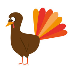 thanksgiving turkey character icon vector illustration design