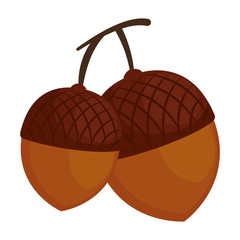 nuts fruits isolated icon vector illustration design