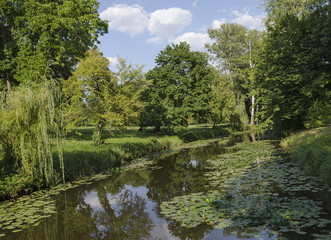 Fototapeta premium beautiful landscape in the park