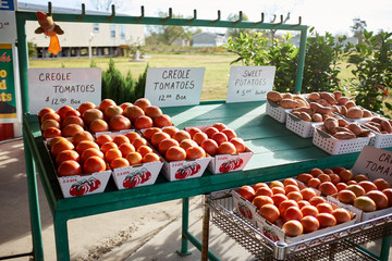 Farm stall with boxes of fresh Creole tomatoes