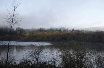 Riverfront Regional Park - two beautiful lakes for fishing, kayaking, canoeing and stand-up paddling. A trail loops around the larger lake, Lake Benoist, with beach on the Russian River, redwood.