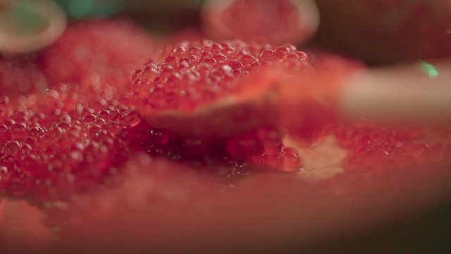 Red caviar dripping from a traditional wooden spoon. Macro food in slow motion,