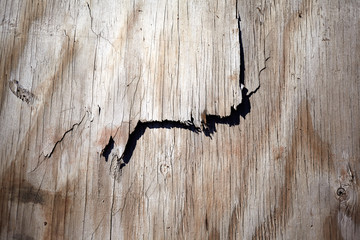 Background texture of splintering wood
