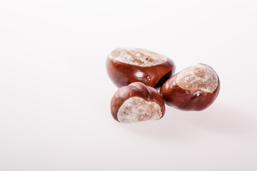 chestnuts on a white background