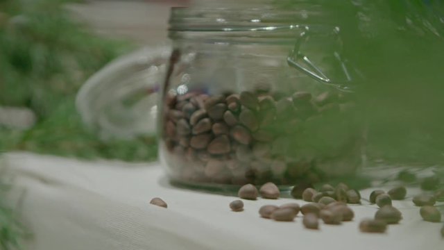 Piece of kitchen interior with a glass can full of cedar nuts and decorated with coniferous tree branch, green cone on cedar.