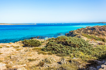 Fototapeta na wymiar Spiaggia La Pelosa, Stintino, Sardegna