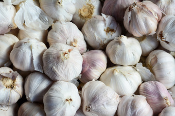 garlic vegetable close up background