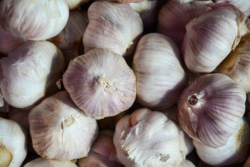 garlic vegetable close up background