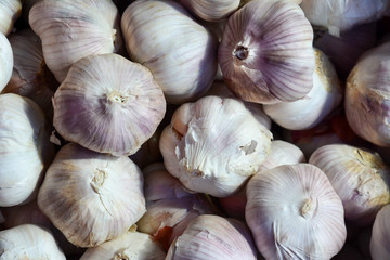 garlic vegetable close up background
