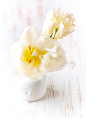 White Tulips in a vase