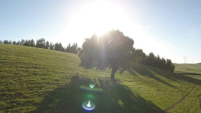 Aerial. Video shooting drone sky, lawns and pastures for agriculture in Alentejo, Portugal.
