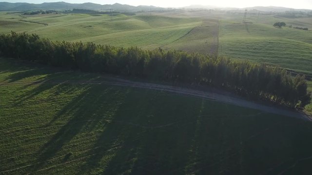 Aerial. Video shooting drone sky, lawns and pastures for agriculture in Alentejo, Portugal.