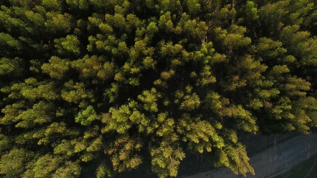 Aerial. Video shooting drone sky, lawns and pastures for agriculture in Alentejo, Portugal.