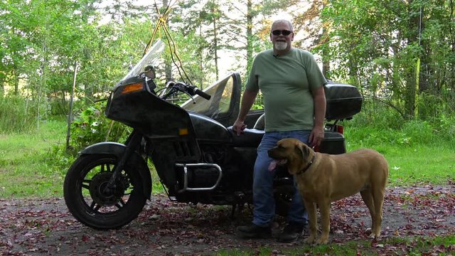 mastiff dog sidecar rider and motorcycle owner standing interview in front of bike 4k