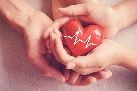 adult and child hands holding red heart, health care, organ donation, family insurance concept, world heart day, world health day, world hypertension day