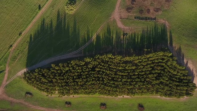 Aerial. Video shooting drone sky, lawns and pastures for agriculture in Alentejo, Portugal.