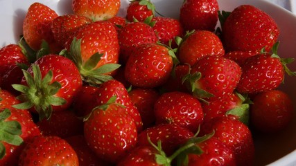 Fraises Mara des Bois du Périgord en France