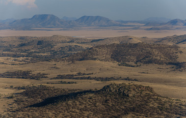 Texas Landscape