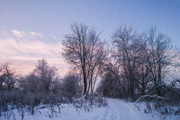 Beautiful winter sunset landscape