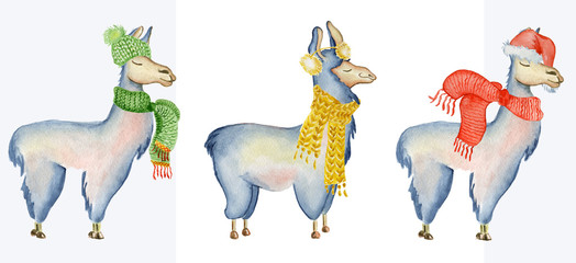 Christmas lama illustration with Santa hat and scarf Winter watercolor animals Cute kids illustration perfect for greeting or post cards, prints on t-shirts, phone cases