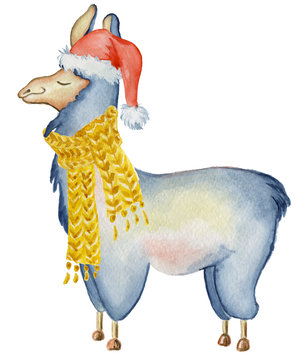 Christmas lama illustration with Santa hat and scarf Winter watercolor animal